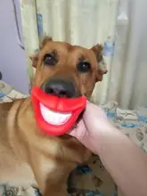 Squeaky Toy Ball Dog Fetching Play Puppy-Cat Chew-Sound Funny Quack 10PCS for Small Pet-Dog