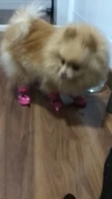 4 unidades/juego de zapatos de lluvia antideslizantes de Cachemira suave y cálida para mascotas, calzado suave a prueba de viento para perros y mascotas, zapatos impermeables antideslizantes