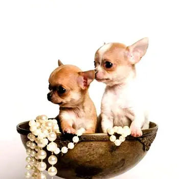 

9128w pillowcase 'матренин posad' 'милашки', 39*39 cm