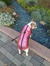 Coat Jacket Vest Bulldog-Clothing Puppy Dogs-Chihuahua French Waterproof Large Winter