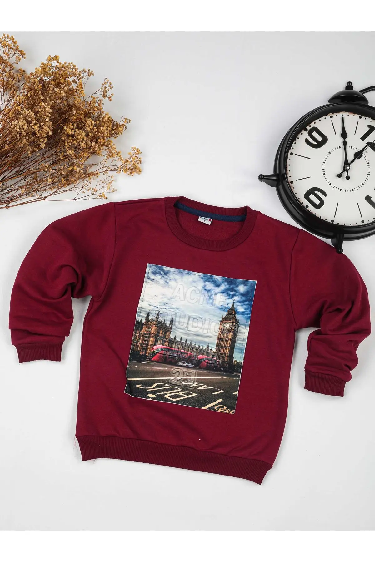 

Burgundy Seasonal Male Child Sweatshirt