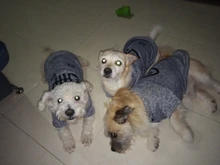 Pet-Dog-Clothes Jacket Coat Puppy Dogs Chihuahua Cotton for Warm Thick And Thin