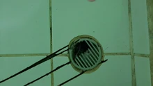 Strainer Plug Shower-Sink-Strainer-Plug Hair-Catcher Bath-Sink Kitchen-Accessories 1pcs