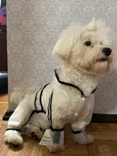 HOOPET-chubasquero para perro, mono impermeable para perros, abrigo para mascota, perro pequeño, gato, Chihuahua, chaqueta impermeable