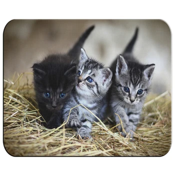 

LARGE mousepad KITTENS SO CUTE mousepad raton