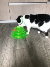 Pet-Cat Toy Tracks-Disc Tumbler Amusement-Plate Kitten-Tower Cat Intelligence Qsezeny