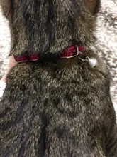 Cat-Collar Nylon-Strap Bell Puppy Adjustable Small Cute with Frosted ABS Pet-Cat SUPREPET