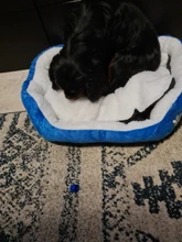 Mats Blanket Cushion Bed-House Sofa Pet-Beds Dog Animal Cute Basket-Supplies Cat Big