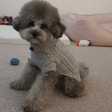 UFBemo Knitted Cable Dog Sweater Dachshund Cat Pull Chien Teckel Clothes Christmas Winter