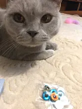 Mezclado con 8mm 10mm y 12mm redondo en París dragón de ojos de vidrio Cabochon foto camafeo accesorios DIY 30 unids/lote K06024