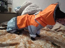 Jumpsuit Raincoat Pet-Cloak Teddy Waterproof-Jacket HOOPET Dogs Chihuahua for Small Cat