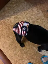 Menstruation Underwear Panties Jumpsuit Diaper Dog-Shorts Pet-Physiological Sanitary