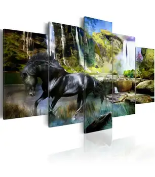 

Picture-black horse with a waterfall of Paradise on the background