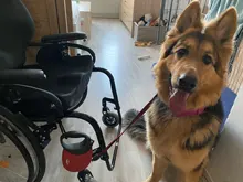 2 unids/lote cochecito de bebé gancho fuerte percha para bebé cochecito cochecitos Poussette cochecito organizador percha gancho para bolsas de pañales