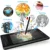 XP-Pen Artist 12 11.6‘ Графический планшет Рисунок Графический Монитор Анимация Цифровой 1920 X 1080HD IPS Сочетания клавиш и Сенсорная панель