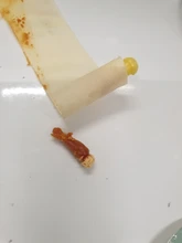 Hopi-limpiador de oídos, vela de oreja, removedor de cera, cuerno, bandeja para tapones para los oídos, aromaterapia redonda, fragancia de Candling de Indiana, 10 Uds.