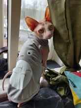 De moda disfraz mascota gato verano gato chaleco con capucha acogedor Mascoats Goto, ropa para gatos, Katten abrigo Kedi sudadera ropa traje