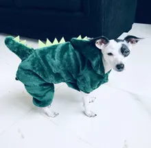 Perro de terciopelo Coral ropa de dibujos animados ropa para mascotas ropa venta al por mayor otoño y el invierno cálido cuatro patas-ropa para perros y gatos