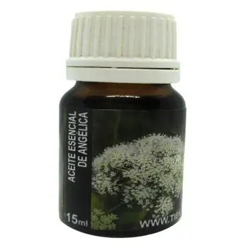 

Essential oil Angelica (15 ML to 250 ML)