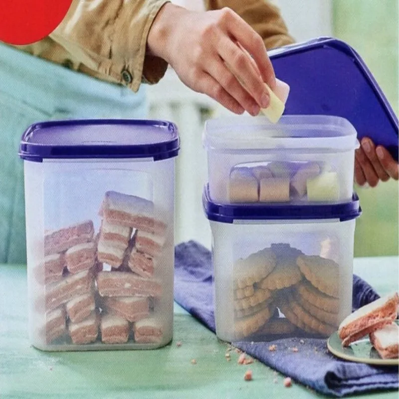 КОНТЕЙНЕР КОМПАКТ(2,6 Л) Tupperware