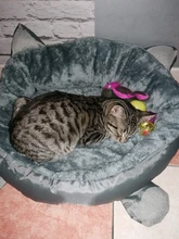 Bed-House Lounger Cats-Basket Plush-Beds Gato Warm Winter For Cat Pet-Cat Mat Panier