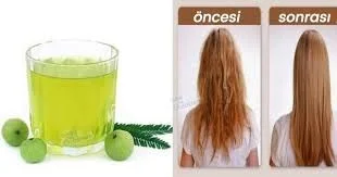 Dabur Amla Gooseberry Hair Care Oil 200 ml