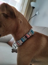 Collar personalizado impreso para mascotas, Collar de nailon para perro, personalizado, grabado gratis, Collar de nombre de cachorro, para perros pequeños, medianos, grandes, Pug