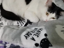 Mattress Pet-Blanket Dog-Bed-Cover Pet-Sofa-Cushion Bulldog Small-Dogs Warm Chihuahua