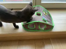 Juego de ratones de Gato para mascotas, tienda de campaña con campana de juguete de inteligencia con 9 agujeros, túnel de juego para gatos, ratón abatible, juguetes para mantener a los gatitos activos