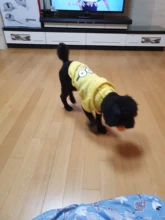 Clothing for Dogs Winter Warm Clothes Dog Hoodies Outfit Jacket Clothing for Dogs Chihuahua