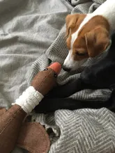 Dog-Toys Puppy Squeak Chew-Cleaning Plush Pet-Resistance Cat Cartoon Cloth Linen 33cm