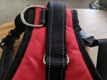 [TAILUP] Envío gratis  productos para mascotas, arnés de perro grande k9, Collar brillante Led para cachorros, chaleco para mascotas, accesorios para mascotas, Chihuahua, Dropship