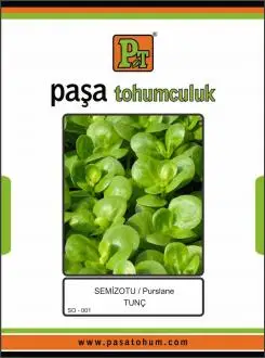 

SEMİZOTU - TUNÇ (SARI FRENK TİPİ) 10 Gr.