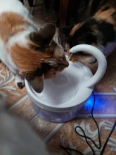 Fuente de Gato de 2L con luz azul, dispensador de agua automático alimentado por USB, alimentador de gatos, filtro de bebida para gatos y perros, proveedor de mascotas