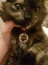 Collar antipérdida para perro, etiquetas de identificación con nombre de perro, regalos para amantes de los perros, etiquetas para el cuello para perro, etiqueta de mascota grabada