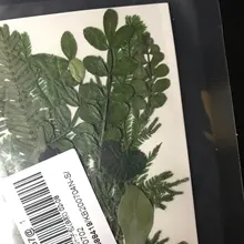 Bolsa de flores secas arte Floral molde de resina Epoxy