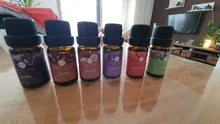 Evocar ocu usada fragancia de aceite 10ML Perfume de aceite difusor de aceite esencial de opio negro de coco de vainilla Ángel café aceite de sándalo