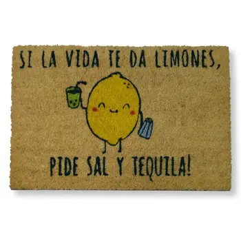 

KOKO DOORMATS DOORMATS entrance original and fun house, DOORMATS for house and garden, 40x60x1.5 cm, natural coconut with base