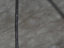 Microscopio Digital profesional con USB, endoscopio electrónico con aumento de cámara y soporte de elevación, 1000X 1600X, 8 LED, 2MP