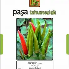 Bсобой BER TOHUMU-shuslju(ACI chisiek) 10 гр