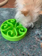 Eat Slow Dog Bowl Slow Feeder Bath Pet Supplies Pet Accessories Dog Slow Feeder Bowl