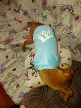 Adidog-ropa para perros medianos y pequeños, Sudadera con capucha de algodón, chaqueta cálida de dos patas, 2020