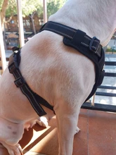 Adjustable Harness Dog-Accessories No-Pull-Vest Truelove Large Padded Pet-Dog Outdoor-Sport