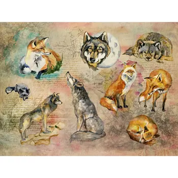 

Rice paper for Decoupage "" craft Premier "", A3, 25 g/m, "Night Hunters" "cp06155