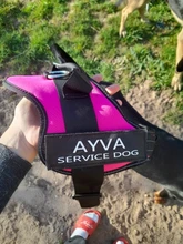 K9 Harnesses For Dogs Customizable Dog Name label Reflective Adjustable Dog Harness Vest