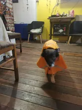 Puppy Raincoat Pets-Clothes Teddy Reflective-Tape Large XS-XXXL Bear-Big