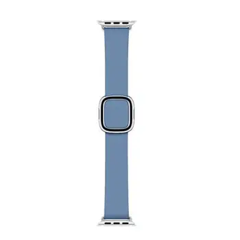

40M CORNFLOWER MODERN BUCKLE M