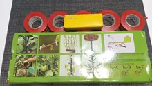 Tape-Set Pepper-Flower Tomato Vegetable-Grape Plant Cucumber Allsome-Tying-Machine 