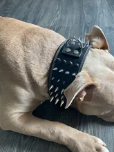 Pet-Dog-Collar Studded Wide-Spikes Doberman Pitbull 3inch for Large Breeds Pitbull/Doberman/M/..
