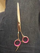 Tijeras de acero inoxidable para peluquería de perros de compañía, 6 pulgadas, curvas, con bordes afilados, para cortar el pelo de animales y gatos, para peluquero